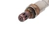 Heated Oxygen S (SLP-1) - image 3