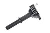 Ignition Coil (SLP-1)