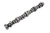 CAMSHAFT ASMOVE (99) - image 1