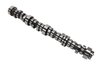 CAMSHAFT ASMOVE (99) - image 2
