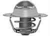 THERMOSTAT ASM ENG COOL - image 1