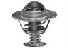 THERMOSTAT ASM ENG COOL - image 1