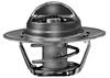 THERMOSTAT ASM ENG COOL - image 1