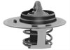 THERMOSTAT ASM ENG COOL - image 2