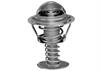 THERMOSTAT ASM ENG COOL - image 1