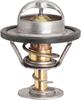 THERMOSTAT ASM ENG COOL W - image 1