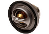 THERMOSTAT ENG COOL W/GKT - image 1