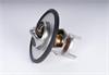 THERMOSTAT ASM-ENG COOL - image 1