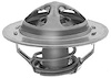 THERMOSTAT ENG COOL - image 1