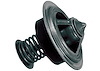 THERMOSTAT ENG COOL - image 1