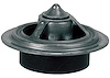 THERMOSTAT ASM-ENG COOL - image 1
