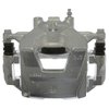 CALIPER SLP-1 (SLP-1) - image 3