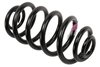 SPRING-RR (B) - image 2