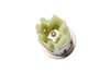 RECEPTACLE ASM- (P1) - image 2