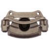 CALIPER SLP-1 (SLP-1) - image 2