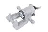 CALIPER SLP-1 (SLP-1) - image 2