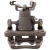 CALIPER SLP-1 (SLP-1) - image 3