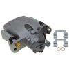 CALIPER SLP-1 (SLP-1) - image 1