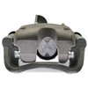 CALIPER SLP-1 (SLP-1) - image 2