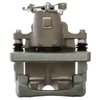 CALIPER SLP-1 (SLP-1) - image 4