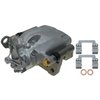 CALIPER SLP-1 (SLP-1) - image 1