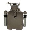 CALIPER SLP-1 (SLP-1) - image 3