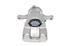 CALIPER SLP-1 (SLP-1) - image 2
