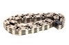 Timing Chain (SLP-P1) - image 1