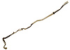 HOSE ASM AUX A/C EVPR - image 1