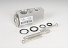 VALVE KIT-A/C EVPR THERMA - image 1