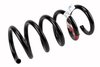 SPRING-RR (A) - image 1