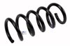 SPRING-RR (A) - image 1