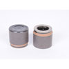 CALIPER SLP-1 (SLP-1) - image 1