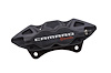 CALIPER SLP-1 (SLP-1) - image 1
