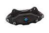 CALIPER SLP-1 (SLP-1) - image 2