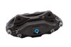 CALIPER SLP-1 (SLP-1) - image 2
