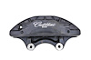 CALIPER SLP-1 (SLP-1) - image 1