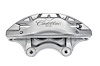 CALIPER SLP-1 (SLP-1) - image 1