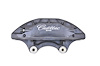 CALIPER SLP-1 (SLP-1) - image 1