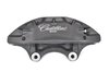 CALIPER SLP-1 (SLP-1) - image 2