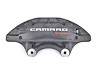 CALIPER SLP-1 (SLP-1) - image 1