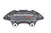 CALIPER SLP-1 (SLP-1) - image 1