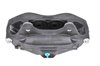 CALIPER SLP-1 (SLP-1) - image 2