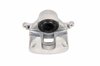 CALIPER SLP-1 (SLP-1) - image 2