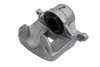 CALIPER SLP-1 (SLP-1) - image 2
