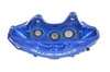 CALIPER SLP-1 (SLP-1) - image 2
