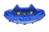 CALIPER SLP-1 (SLP-1) - image 2