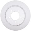 Coated Rear Dis (B) - image 4