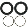 Front Disc Brak (B)