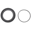 Front Disc Brak (B)
